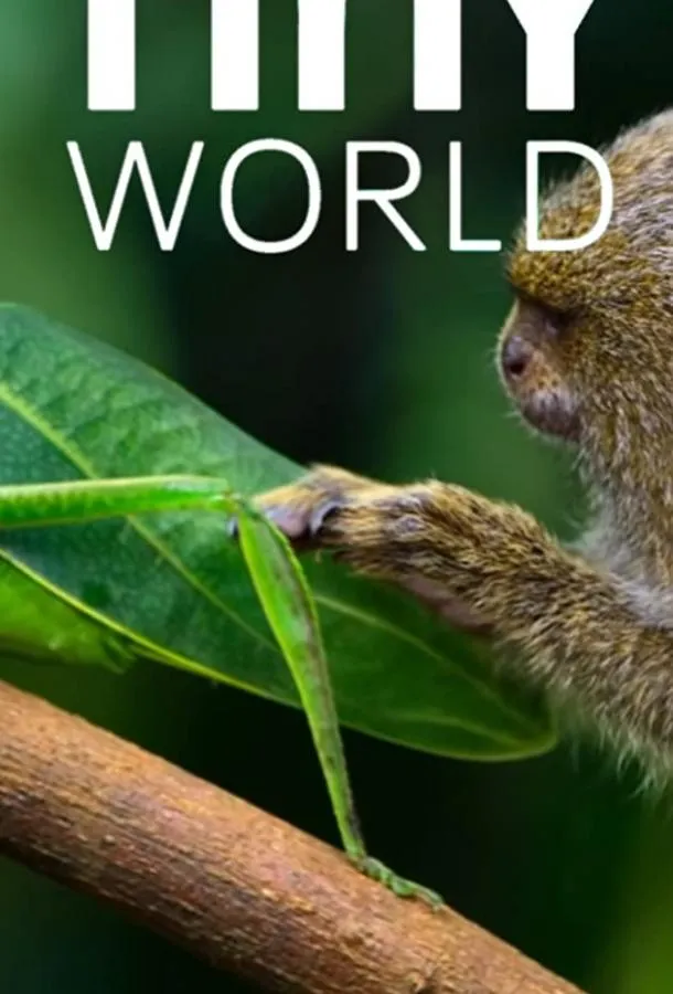 Смотреть онлайн Крошечный мир бесплатно